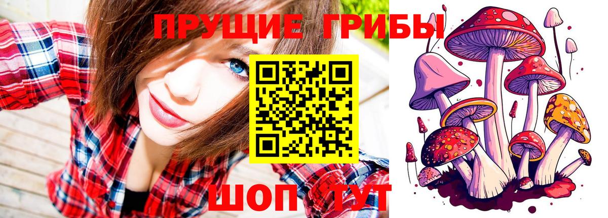 Псилоцибиновые грибы Magic Shrooms Котлас