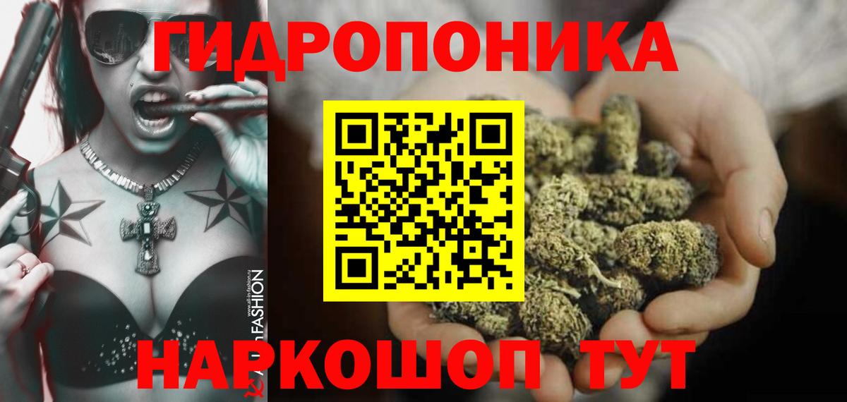 Каннабис тримм  Канабис VHQ  Котлас  Вход с VPN 